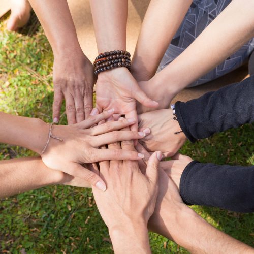 บทความ 1